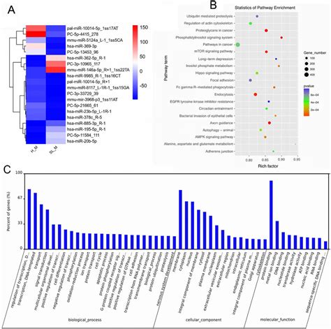 The Profile Of Mirna Expression Levels In Exosomes And The Go And Kegg Download Scientific