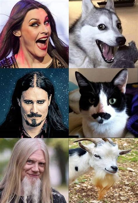 Gay Fnaf Porn On Tumblr