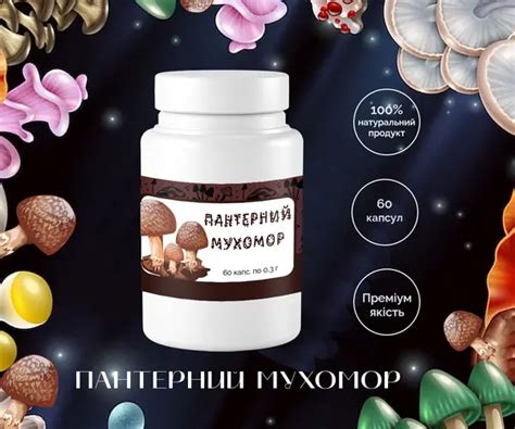 Купити сушені мухомори в Україні | магазин Мухоморія