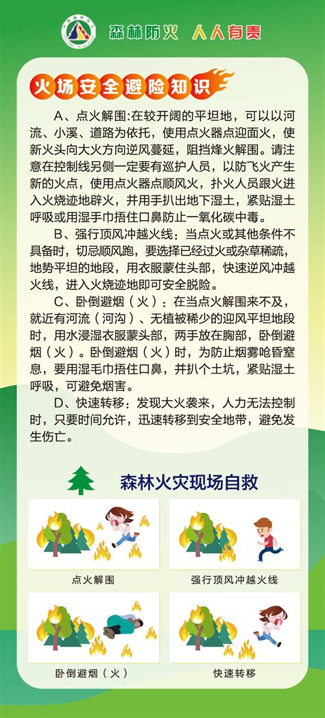 防火于未“燃”！森林防火，人人有责！这些小常识你必须要知道 深圳新闻网