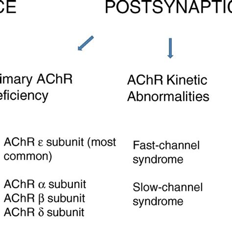 Classification Of Congenital Myasthenic Syndromes Download