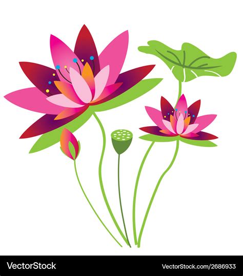 Lotus Flower Royalty Free Vector Image Vectorstock