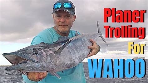 Planer Trolling For WAHOO How To Catch Wahoo Deep Sea Fishing YouTube