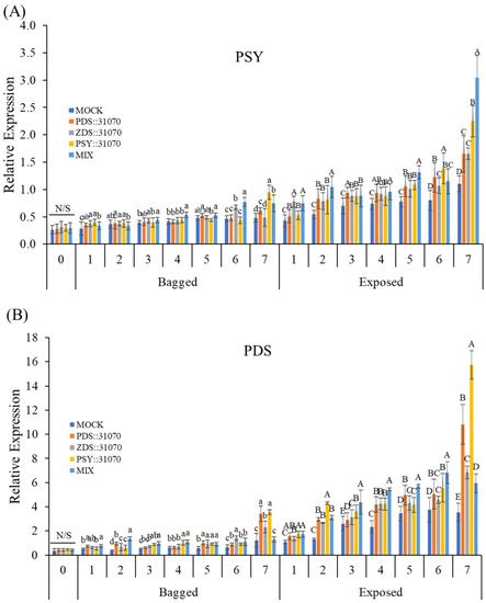 Ijms Free Full Text Light Induces Carotenoid Biosynthesis Related