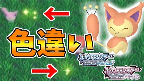 【ポケモンbdsp】ポケトレで色違い厳選中に起きた奇跡と悲劇 エネコ厳選 Pokémon Charts