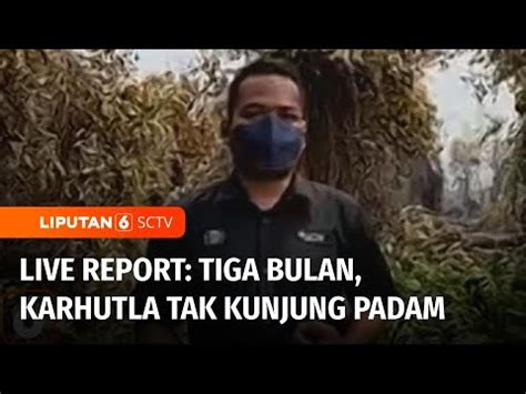 Live Report Karhutla Di Palangka Raya Tak Kunjung Padam Sudah Hampir