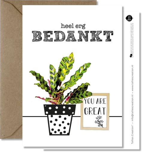 Tallies Cards Greeting Wenskaarten Bedankt Plant Set Van 4