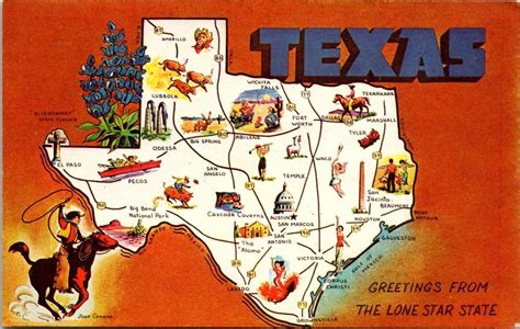 Texas Lone Star State Map Cities Capitol Bluebonnet Pecan DB Postcard