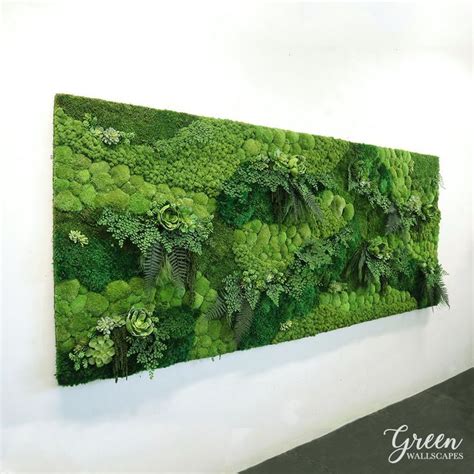 Moss And Succulent Wall Amazonia Collection Moss Wall Art Moss Wall