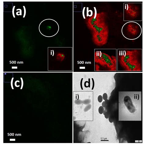 Biosensors Free Full Text Current Advances In Nanotechnology For The Next Generation Of