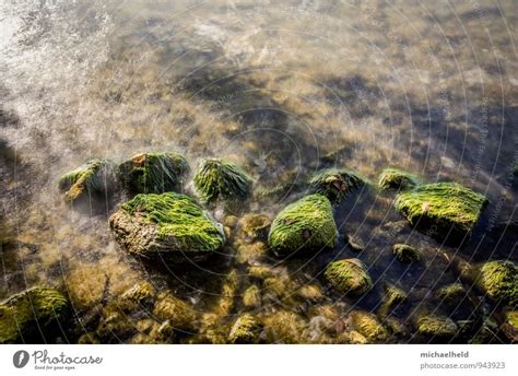 Treue Freundin Natur Ein Lizenzfreies Stock Foto Von Photocase