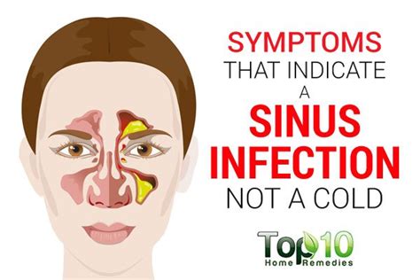 Symptoms that Indicate a Sinus Infection not a Cold | Top 10 Home Remedies