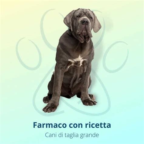 Drontal Cane Multi Aroma Carne Cani Fino A 10 Kg 24 Compresse