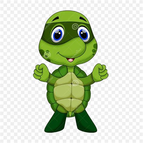 Turtle Cartoon Illustration Png 1000x1000px Turtle Cartoon Drawing