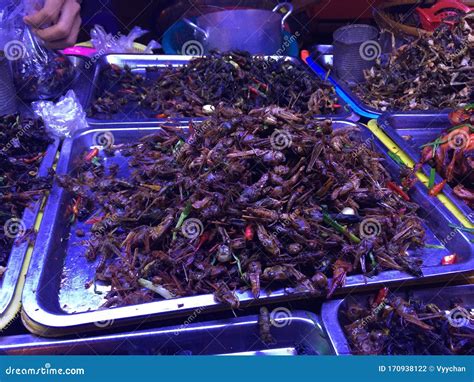 Southeast Asia Cambodia Night Market Nightlife Local Street Hawker