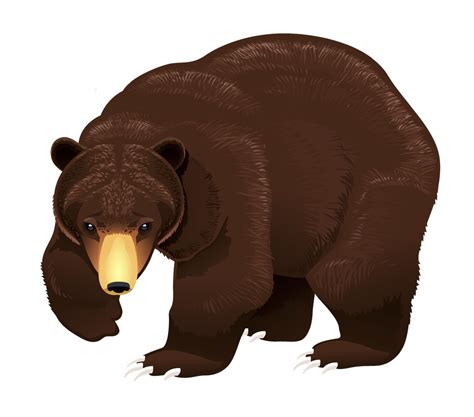 Grizzly Bears Clipart Bundle Bear Clipart Clip Art