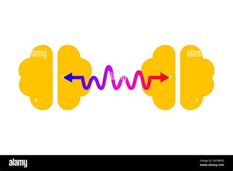 Two Brains Connecting Stock Vector Images Alamy