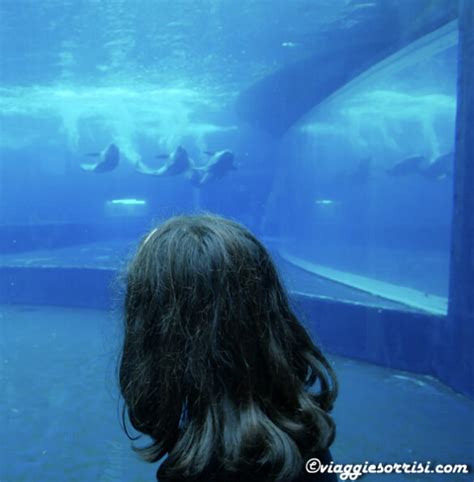 Acquario Di Genova Consigli Utili Per La Visita Viaggi E Sorrisi