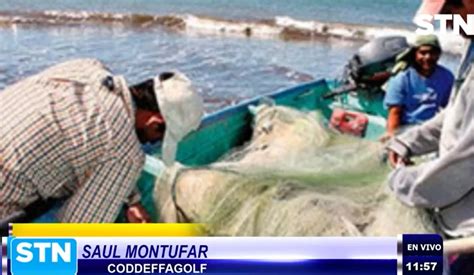 Ante Escasez Pescadores Del Golfo De Fonseca Talan Manglares Para