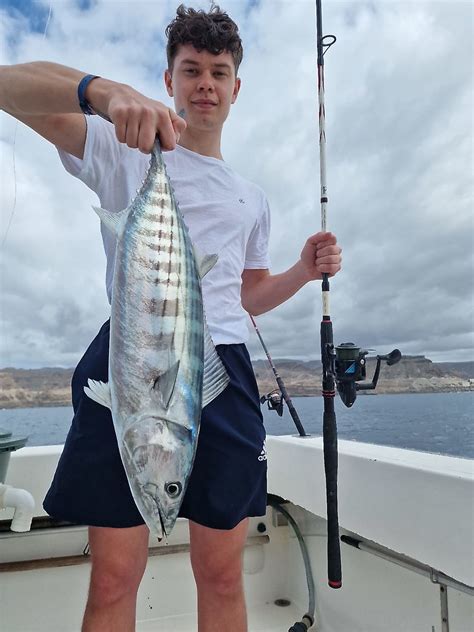 Bonito Del Atl Ntico Norte Foto Cavalier Blue Marlin Sport