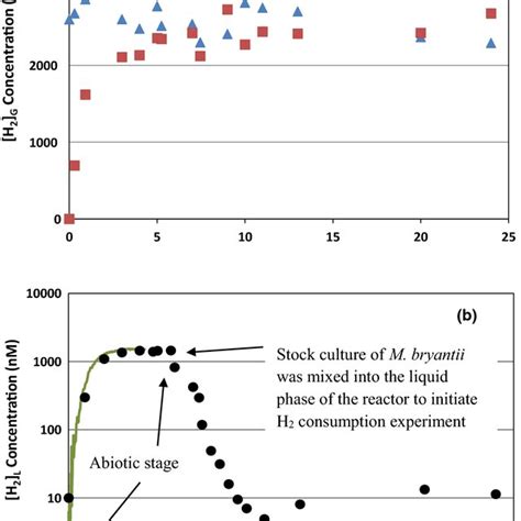 Gas Phase H2 G And Liquid Phase H2 L H2 Concentrations µm