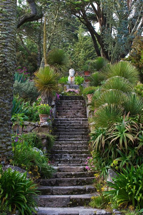 Tresco Abbey Garden - clivenichols.com