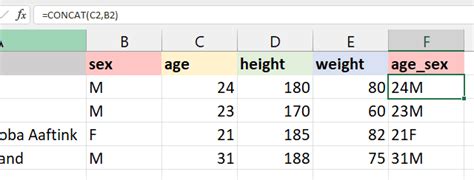 The 15 Basic Excel Formulas Everyone Needs To Know Datacamp