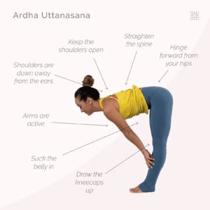 How To Do Ardha Uttanasana Standing Half Forward Bend Omstars