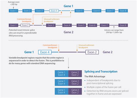 Whole Transcriptome Sequencing Caris Life Sciences