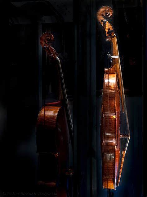 Stradivarius At The Accademia Gallery In Florence Italy