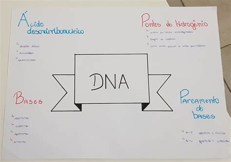 Mapa Mental Dna E Rna Braincp