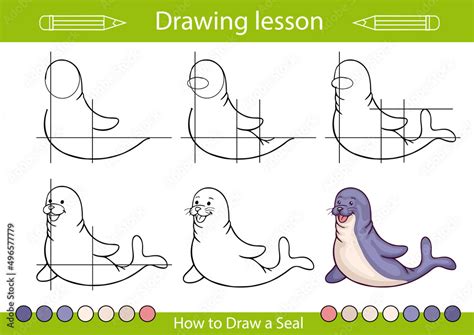 Tutorial How To Draw A Seal Drawing Lesson Step By Step Educations