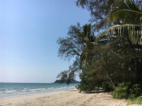 Kostenlose foto Strand Landschaft Meer Küste Baum Natur Ozean