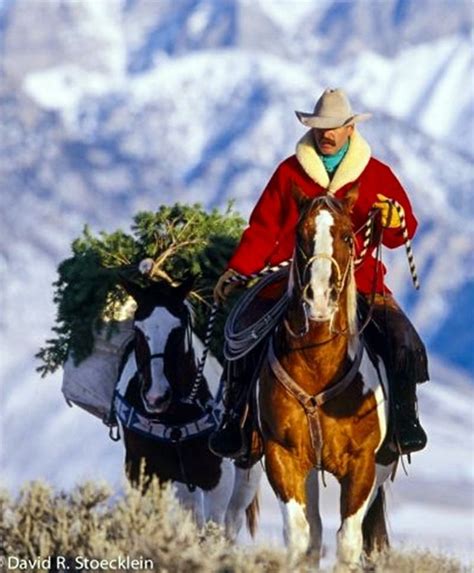 I Bet This Tree Is Fresh Western Christmas Cowboy Christmas