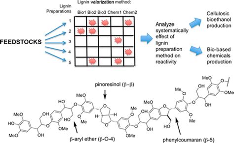 Investigation Of The Chemocatalytic And Biocatalytic Valorization Of A