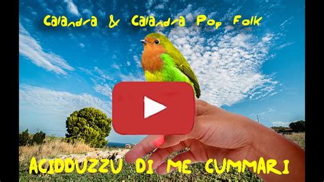 Acidduzzu Di Me Cummari Calandraecalandra YouTube