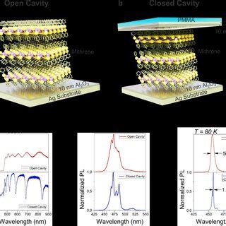 Exciton Polariton Dispersion And Lifetimes Temperature Dependent E K