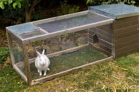 Fabriquer un enclos et une cage pour lapin Extérieur Intérieur