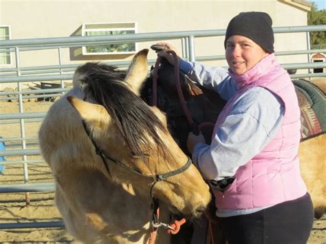 Shire Horse: Breed Profile for the World's Largest Horse - Helpful ...