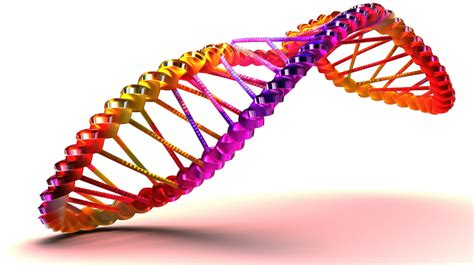 Ilustração 3d Do Modelo De Dna Contra Um Fundo Branco Genoma