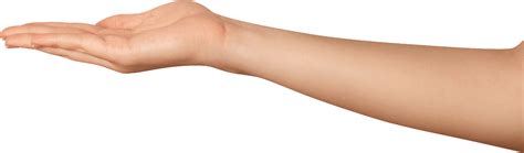 Arm Png High Quality Image