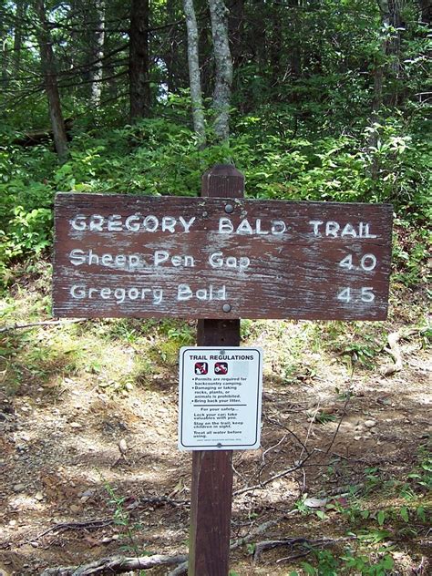 Gregory Bald Trail – Smokies Guide