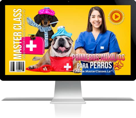 Primeros Auxilios Para Mascotas Arme Digital