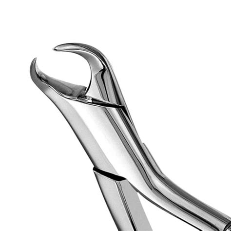 Lower Molars Extraction Forceps Cowhorn 16