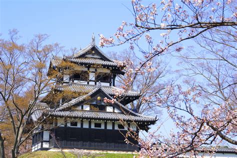Japan further eases border restrictions, prioritises domestic travel ...