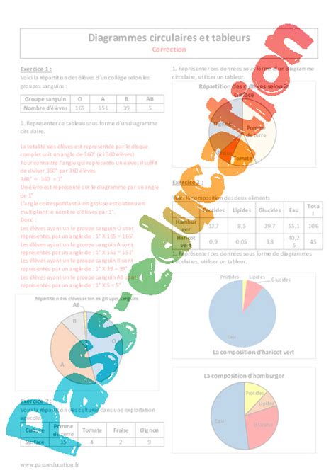 Tableurs Diagrammes circulaires 6ème Exercices à imprimer Pass