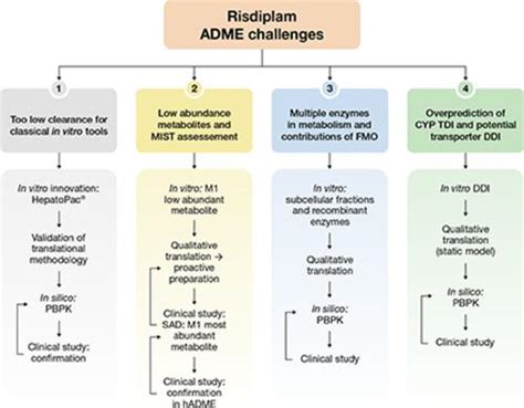 解决当今体外 ADME 特征向人类转化中的吸收、分布、代谢和排泄 （ADME） 挑战：SMN2mRNA 剪接修饰剂 Risdiplam 的案例 ...