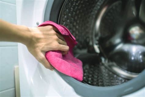 How To Get Mould Off A Washing Machines Rubber Seal