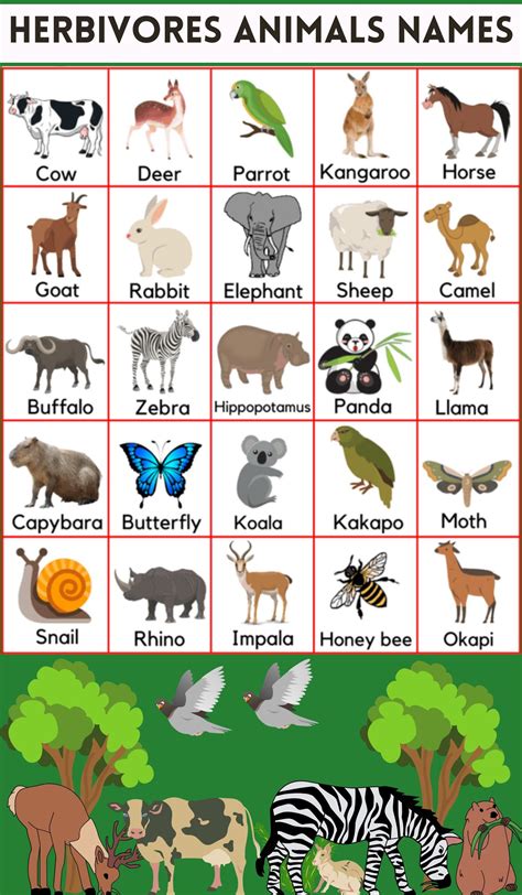 Carnivorous Animals Examples And Fun Facts