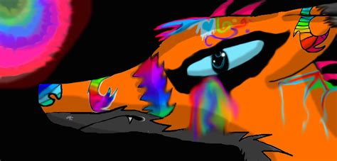 Rainbow Fied By Hausererine On Deviantart